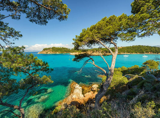 Rompecabezas Vista Al Mar 500pz