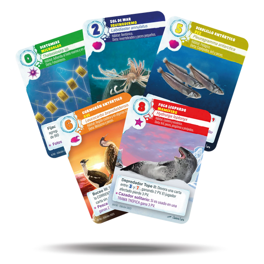 ILAN: Explorando la Vida Antártica