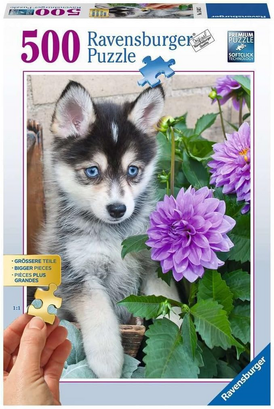 Rompecabezas Cachorro de Husky 500 piezas