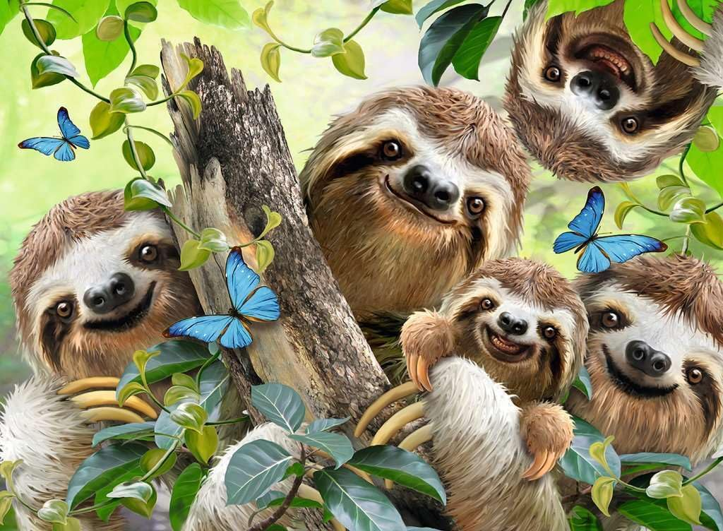 Rompecabezas Selfie de Perezosos 500 piezas