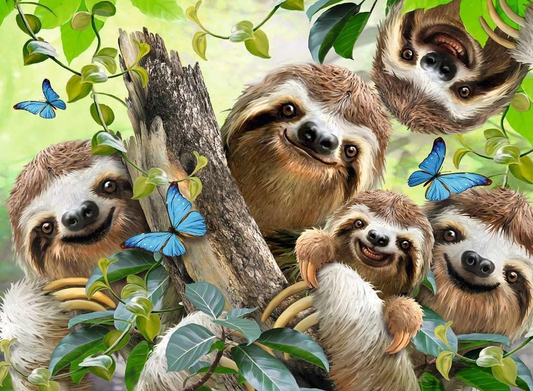 Rompecabezas Selfie de Perezosos 500 piezas