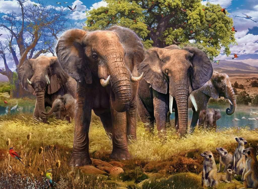 Rompecabezas Familia de Elefantes 500 piezas