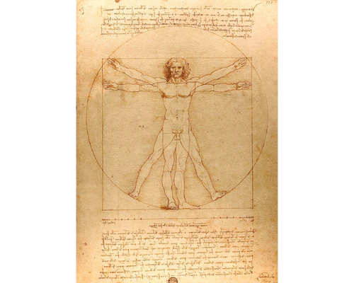 Leonardo da Vinci - El Hombre de Vitruvio: Rompecabezas 1000 Piezas Enjoy Puzzle