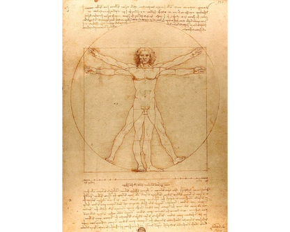 Leonardo da Vinci - El Hombre de Vitruvio: Rompecabezas 1000 Piezas Enjoy Puzzle