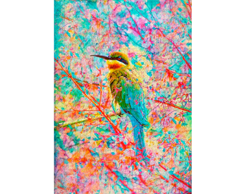 Pájaro Feliz: Rompecabezas 1000 Piezas Enjoy Puzzle