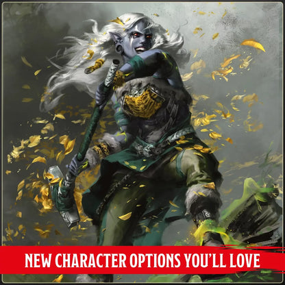 D&D 5th Edition 2024: Player's Handbook  ESPAÑOL