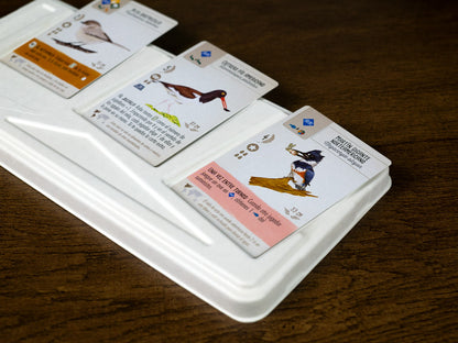 Wingspan En Español