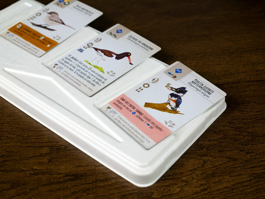 Wingspan En Español