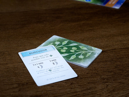 Wingspan En Español