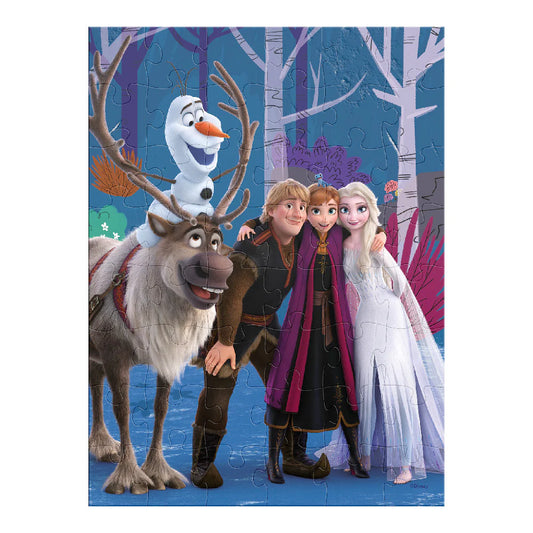 Rompecabezas en Bolsa Metalizada para Niños de Frozen
