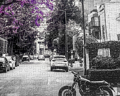 Viva México Jacarandas, Ciudad de México Rompecabezas 1000 Piezas Anatolian