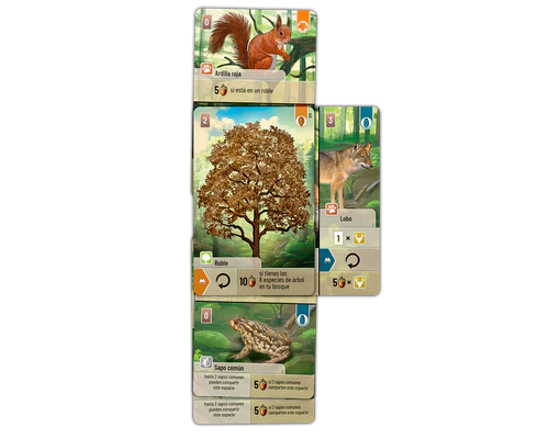 Forest Shuffle