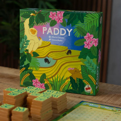Paddy