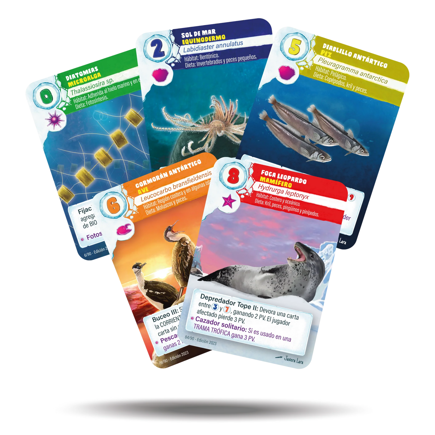 ILAN: Explorando la Vida Antártica