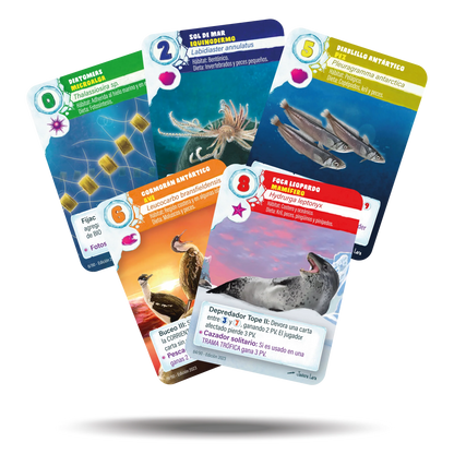 ILAN: Explorando la Vida Antártica